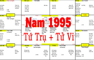 Xem Tứ Trụ Nam 1995, Xem Tử Vi Nam 1995, Xem màu sắc hợp nam 1995, Bát tự Nam 1995, Hướng nhà hợp Nam sinh năm 1995 tuổi Ất Hợi