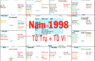 Xem Tứ Trụ Nam 1998, Xem Tử Vi Nam 1998, Xem màu sắc hợp nam 1998, Bát tự Nam 1998, Nam sinh năm 1998 tuổi Mậu Dần