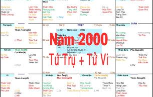 Xem Tứ Trụ Nam 2000, Xem Tử Vi Nam 2000, Xem màu sắc hợp nam 2000, Bát tự Nam 2000, Nam sinh năm 2000 tuổi Canh Thìn