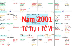 Xem Tứ Trụ Nam 2001, Xem Tử Vi Nam 2001, Xem màu sắc hợp nam 2001, Bát tự Nam 2001, Nam sinh năm 2001 tuổi Tân Tỵ