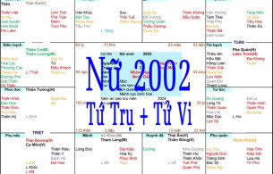 Xem Tứ Trụ Nữ 2002, Xem Tử Vi Nữ 2002, Xem màu sắc hợp nữ 2002, Bát tự Nữ 2002, Nữ sinh năm 2002 tuổi Nhâm Ngọ