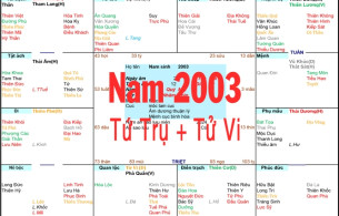 Xem Tứ Trụ Nam 2003, Xem Tử Vi Nam 2003, Xem màu sắc hợp nam 2003, Bát tự Nam 2003, Nam sinh năm 2003 tuổi Quý Mùi