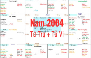 Xem Tứ Trụ Nam 2004, Xem Tử Vi Nam 2004, Xem màu sắc hợp nam 2004, Bát tự Nam 2004, Nam sinh năm 2004 tuổi Giáp Thân