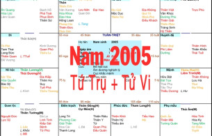 Xem Tứ Trụ Nam 2005, Xem Tử Vi Nam 2005, Xem màu sắc hợp nam 2005, Bát tự Nam 2005, Nam sinh năm 2005 tuổi Ất Dậu