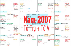 Xem Tứ Trụ Nam 2007, Xem Tử Vi Nam 2007, Xem màu sắc hợp nam 2007, Bát tự Nam 2007, Nam sinh năm 2007 tuổi Đinh Hợi