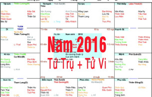 Xem Tứ Trụ Nam 2016, Xem Tử Vi Nam 2016, Xem màu sắc hợp nam 2016, Bát tự Nam 2016, Nam sinh năm 2016 tuổi Bính Thân