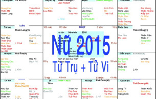 Xem Tứ Trụ Nữ 2015, Xem Tử Vi Nữ 2015, Xem màu sắc hợp nữ 2015, Bát tự Nữ 2015, Nữ sinh năm 2015 tuổi Ất Mùi