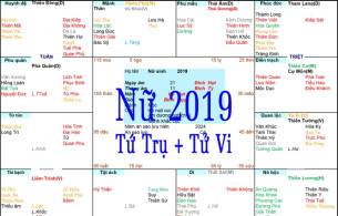 Xem Tứ Trụ Nữ 2019, Xem Tử Vi Nữ 2019, Xem màu sắc hợp nữ 2019, Bát tự Nữ 2019, Nữ sinh năm 2019 tuổi Kỷ Hợi