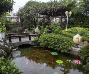 Xem phong thủy Hồ nước-Non bộ-Bể cá-Cây cảnh