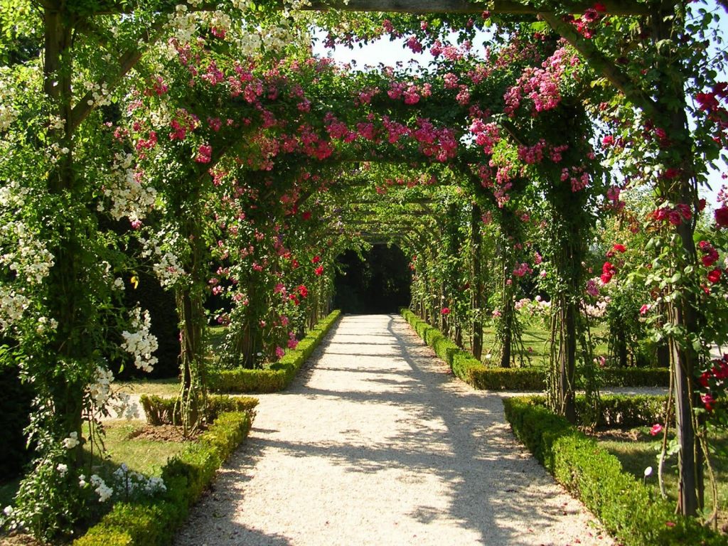 Tiểu cảnh đẹp Sân vườn nghệ thuật Ảnh 6