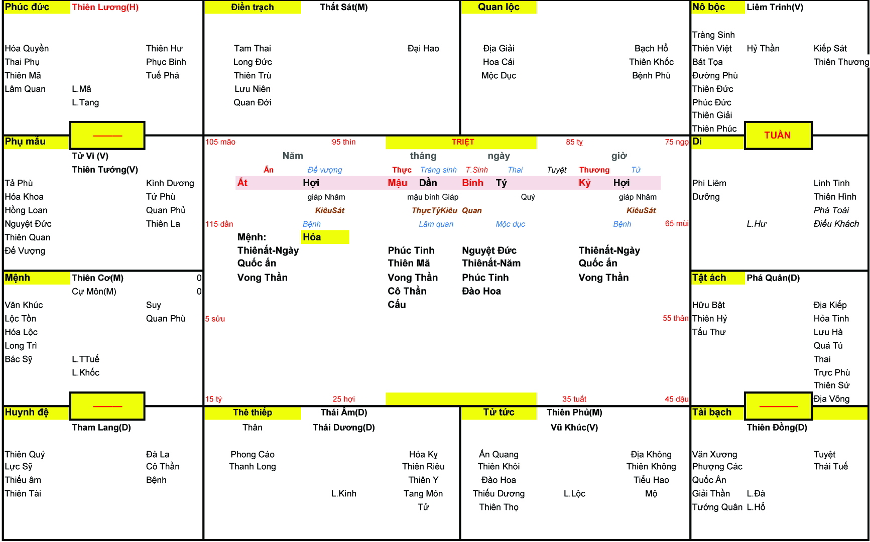 Xem Tứ Trụ Nam 1995, Tứ trụ Nam 1995, tứ trụ tuổi Ất Hợi, Xem Tử Vi Nam 1995, Bát tự Nam 1995, tử vi Nam 1995, tử vi 1995