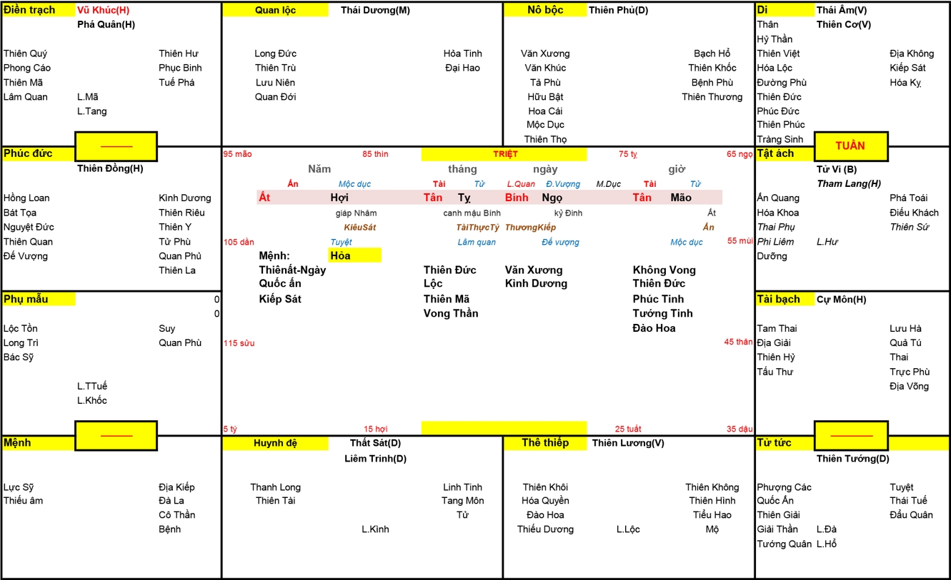 Xem Tứ Trụ Nữ 1995, Tứ trụ Nữ 1995, tứ trụ tuổi Ất Hợi, Xem Tử Vi Nữ 1995, Bát tự Nữ 1995, tử vi Nữ 1995, tử vi 1995
