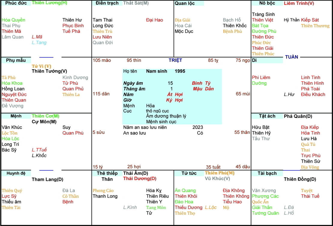 Xem Tử Vi Nam 1995, tử vi tuổi Ất Hợi, tử vi năm 1995, tử vi Nam 1995, lập tử vi Nam 1995