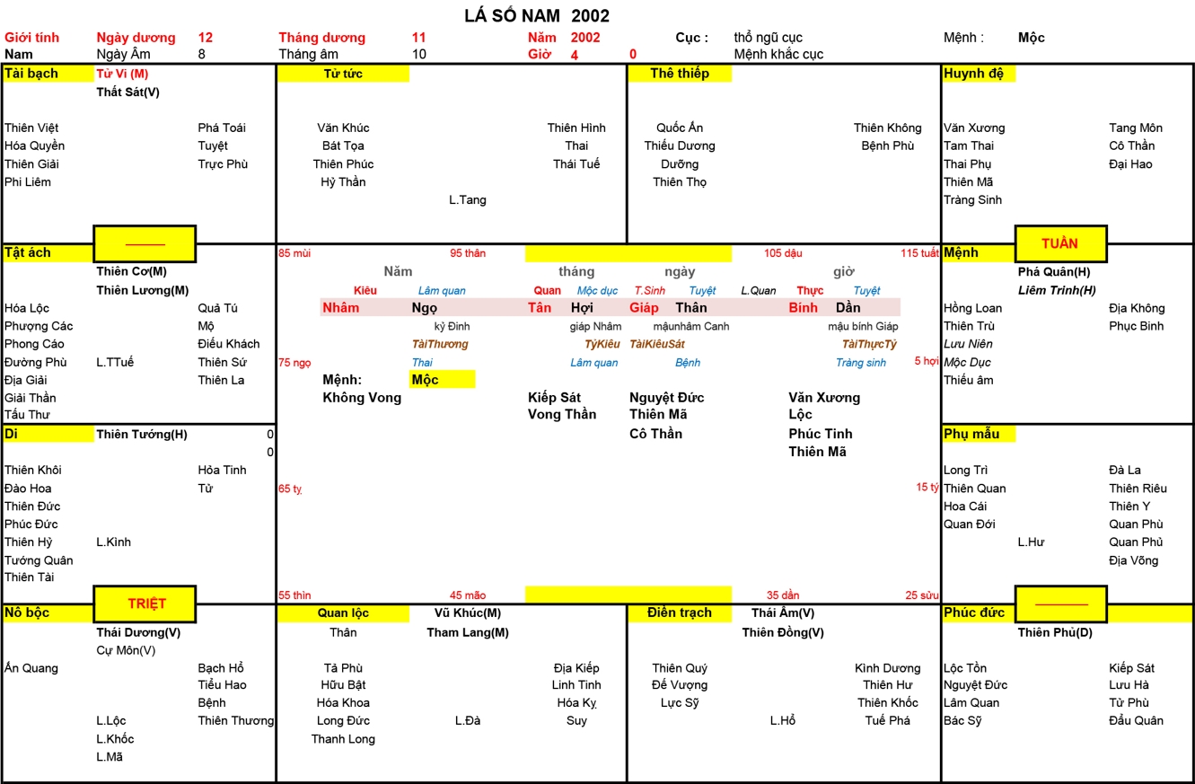 Xem Tứ Trụ Nam 2002, Tứ trụ Nam 2002, tứ trụ tuổi Nhâm Ngọ, Xem Tử Vi Nam 2002, Bát tự Nam 2002, tử vi Nam 2002, tử vi 2002