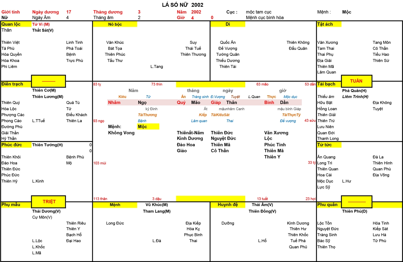 Xem Tứ Trụ Nữ 2002, Tứ trụ Nữ 2002, tứ trụ tuổi Nhâm Ngọ, Xem Tử Vi Nữ 2002, Bát tự Nữ 2002, tử vi Nữ 2002, tử vi 2002