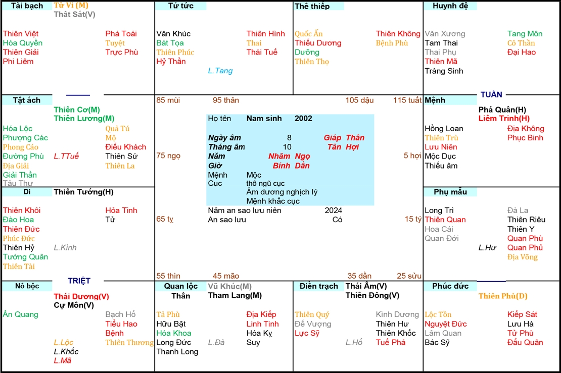 Xem Tử Vi Nam 2002, tử vi tuổi Nhâm Ngọ, tử vi năm 2002, tử vi Nam 2002, lập tử vi Nam 2002