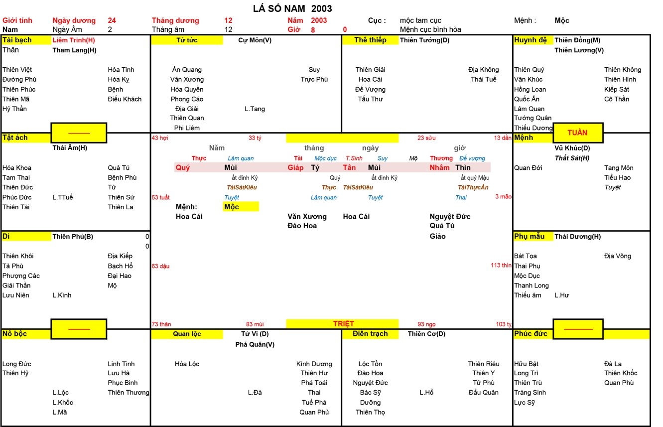 Xem Tứ Trụ Nam 2003, Tứ trụ Nam 2003, tứ trụ tuổi Quý Mùi, Xem Tử Vi Nam 2003, Bát tự Nam 2003, tử vi Nam 2003, tử vi 2003