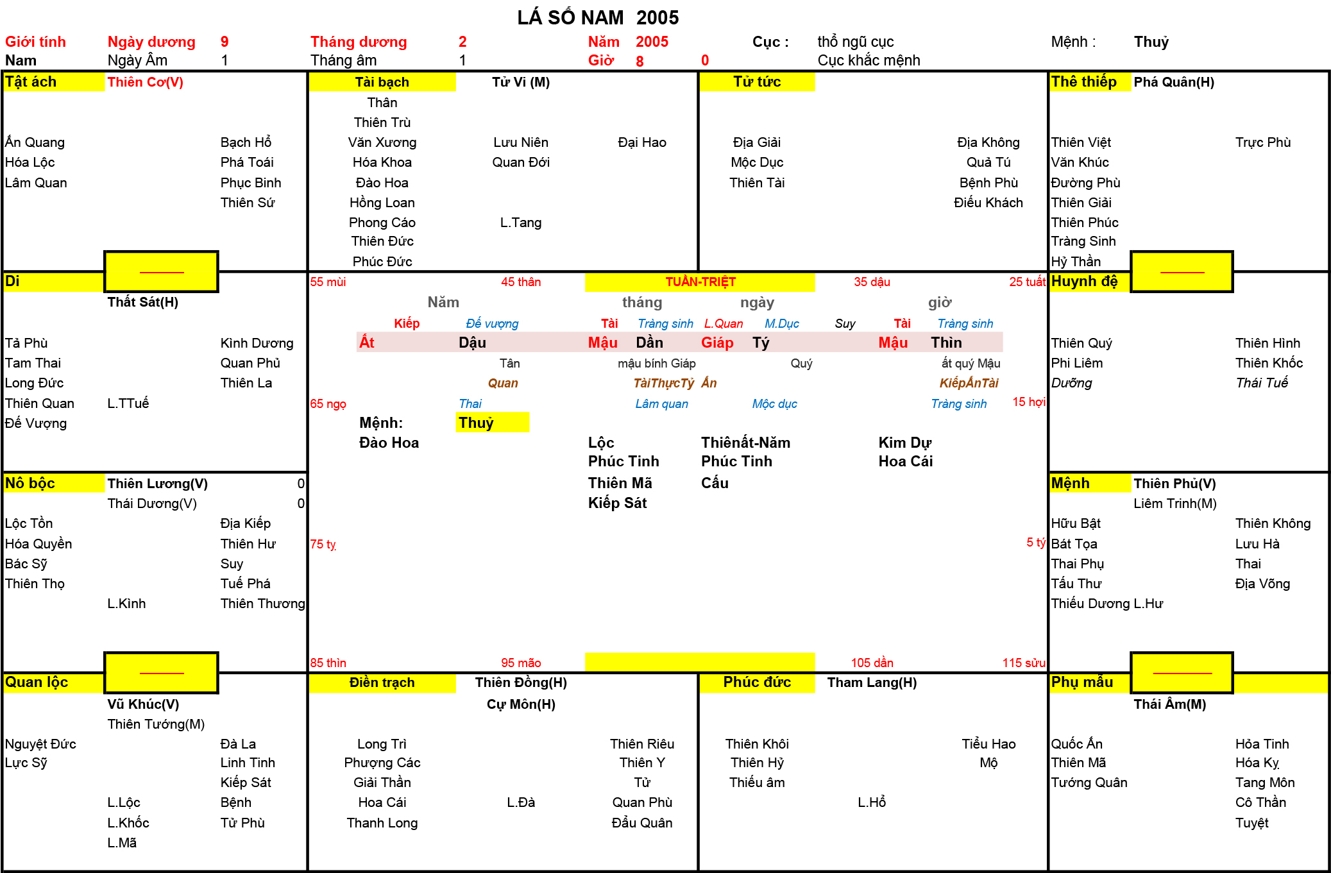 Xem Tứ Trụ Nam 2005, Tứ trụ Nam 2005, tứ trụ tuổi Ất Dậu, Xem Tử Vi Nam 2005, Bát tự Nam 2005, tử vi Nam 2005, tử vi 2005