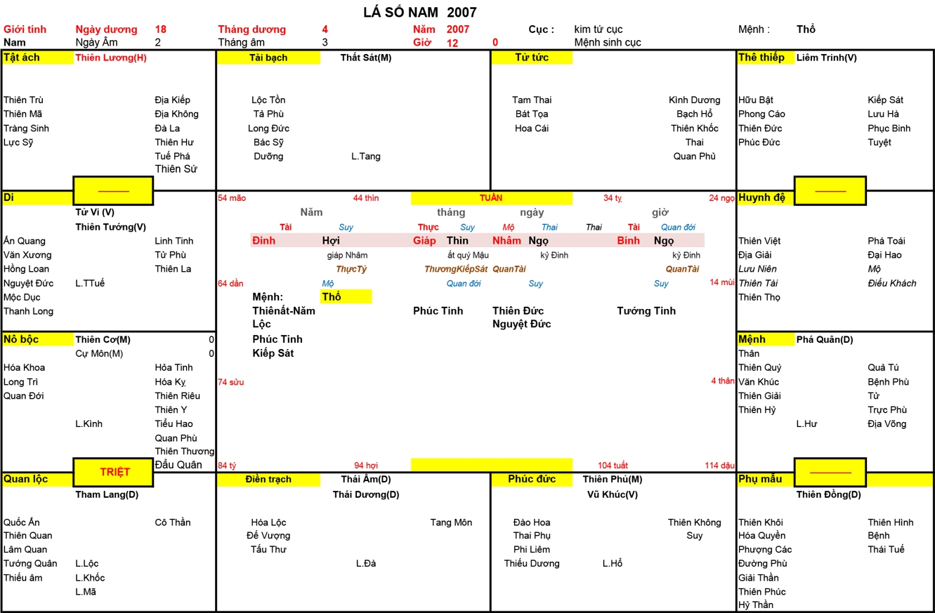 Xem Tứ Trụ Nam 2007, Tứ trụ Nam 2007, tứ trụ tuổi Đinh Hợi, Xem Tử Vi Nam 2007, Bát tự Nam 2007, tử vi Nam 2007, tử vi 2007