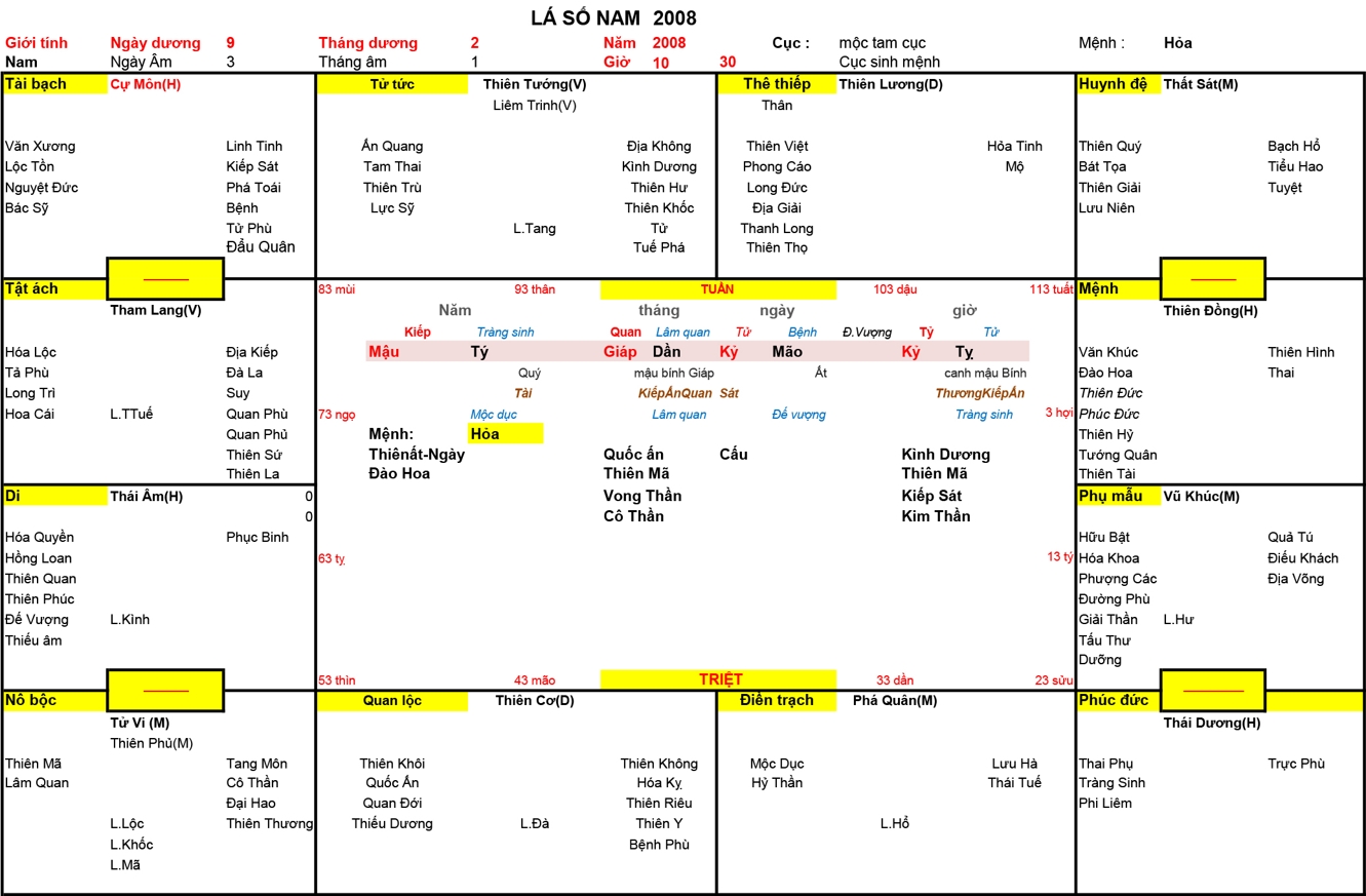 Xem Tứ Trụ Nam 2008, Tứ trụ Nam 2008, tứ trụ tuổi Mậu Tý, Xem Tử Vi Nam 2008, Bát tự Nam 2008, tử vi Nam 2008, tử vi 2008