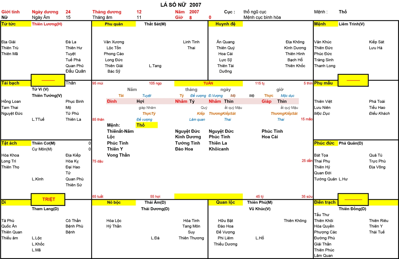 Xem Tứ Trụ Nữ 2007, Tứ trụ Nữ 2007, tứ trụ tuổi Đinh Hợi, Xem Tử Vi Nữ 2007, Bát tự Nữ 2007, tử vi Nữ 2007, tử vi 2007