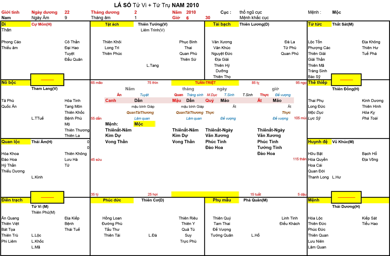 Xem Tứ Trụ Nam 2010, Tứ trụ Nam 2010, tứ trụ tuổi Canh Dần, Xem Tử Vi Nam 2010, Bát tự Nam 2010, tử vi Nam 2010, tử vi 2010