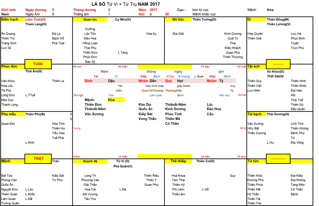 Xem Tứ Trụ Nam 2017, Tứ trụ Nam 2017, tứ trụ tuổi Đinh Dậu, Xem Tử Vi Nam 2017, Bát tự Nam 2017, tử vi Nam 2017, tử vi 2017