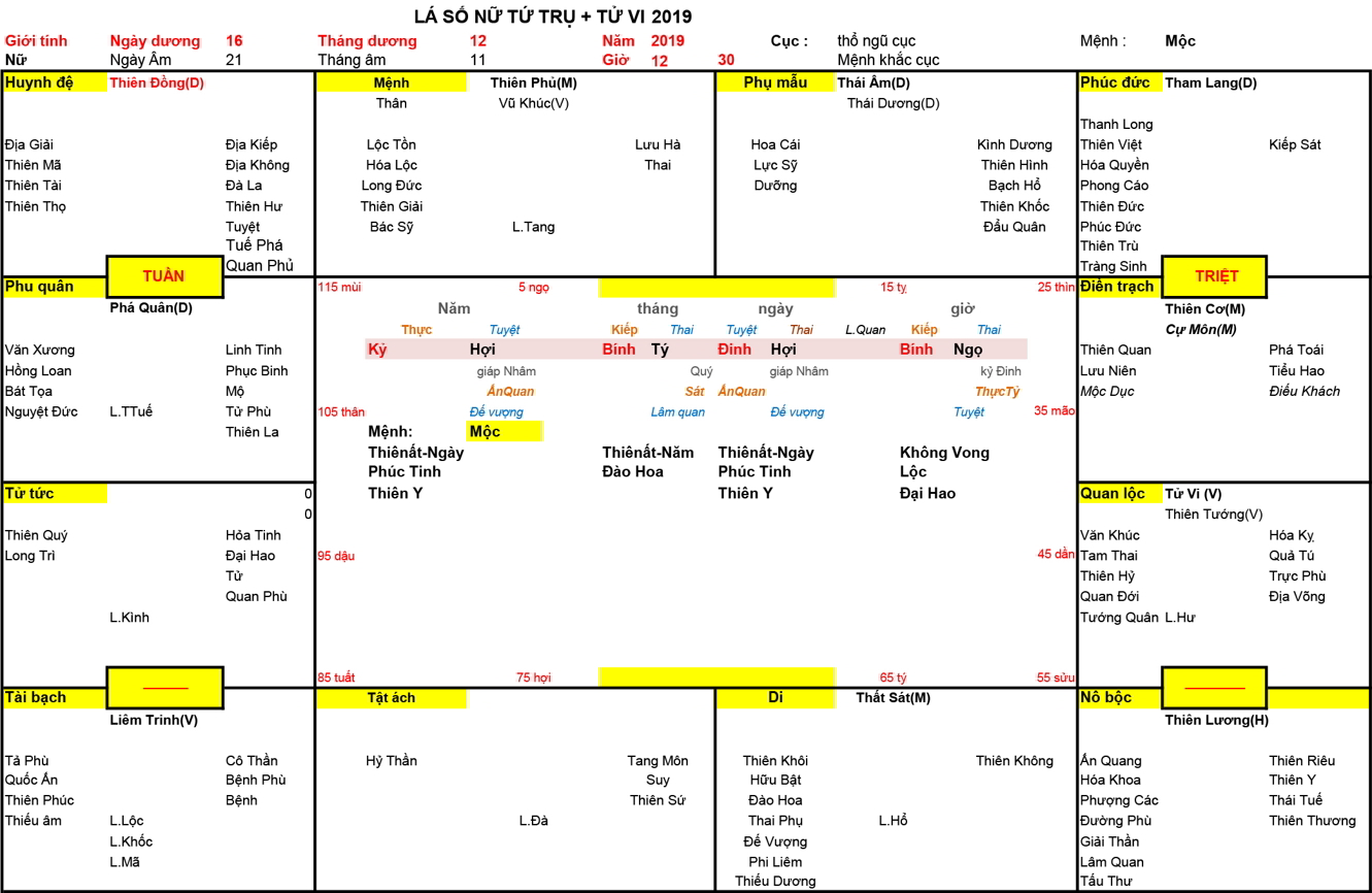 Xem Tứ Trụ Nữ 2019, Tứ trụ Nữ 2019, tứ trụ tuổi Kỷ Hợi, Xem Tử Vi Nữ 2019, Bát tự Nữ 2019, tử vi Nữ 2019, tử vi 2019