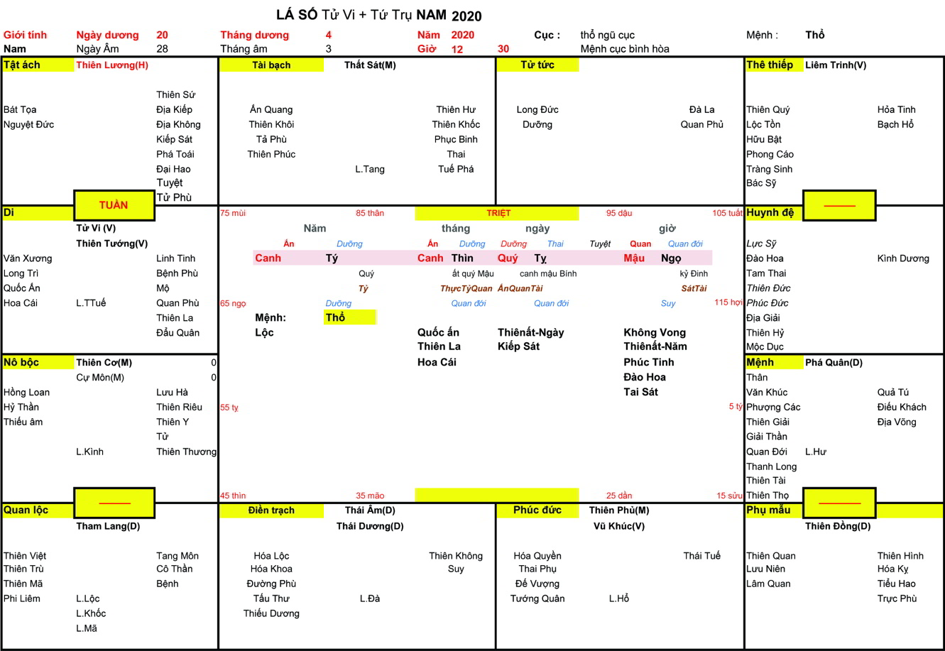 Xem Tứ Trụ Nam 2020, Tứ trụ Nam 2020, tứ trụ tuổi Canh Tý, Xem Tử Vi Nam 2020, Bát tự Nam 2020, tử vi Nam 2020, tử vi 2020