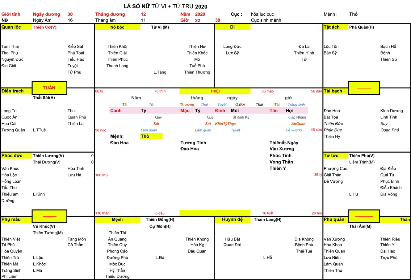 Xem Tứ Trụ Nữ 2020, Tứ trụ Nữ 2020, tứ trụ tuổi Canh Tý, Xem Tử Vi Nữ 2020, Bát tự Nữ 2020, tử vi Nữ 2020, tử vi 2020
