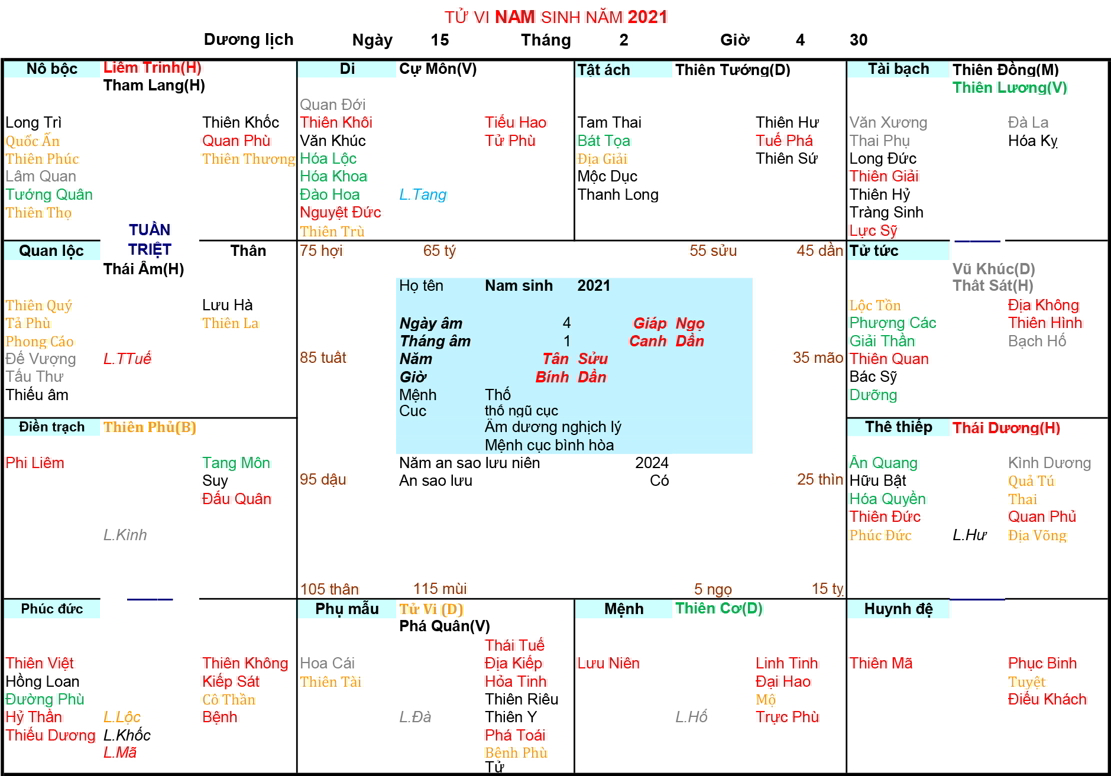 Xem Tử Vi Nam 2021, tử vi tuổi Tân Sửu, tử vi năm 2021, tử vi Nam 2021, lập tử vi Nam 2021